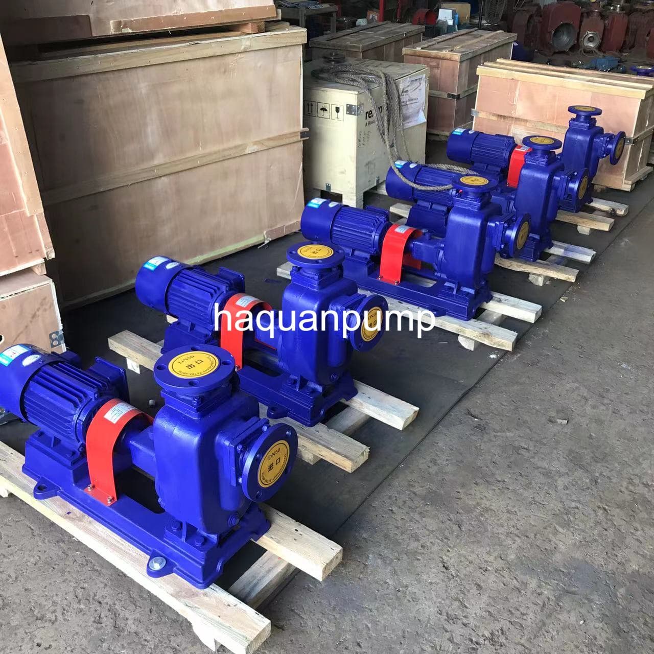 ZW Self-Priming Sewage Pump Storage – Winterization & Long-Term Preservation Methods — ZW Series Self-Priming Sewage Pump by Haquan