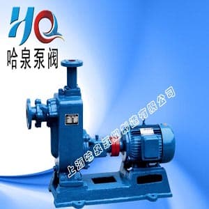ZW Self-Priming Sewage Pump Installation – Suction Pipe Requirements & Foundation Setup — ZW Series Self-Priming Sewage Pump by Haquan