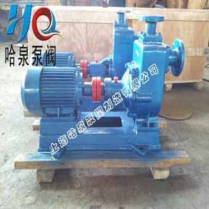 ZW Self-Priming Sewage Pump Low Flow or Reduced Capacity – Diagnosis & Repair — ZW Series Self-Priming Sewage Pump by Haquan
