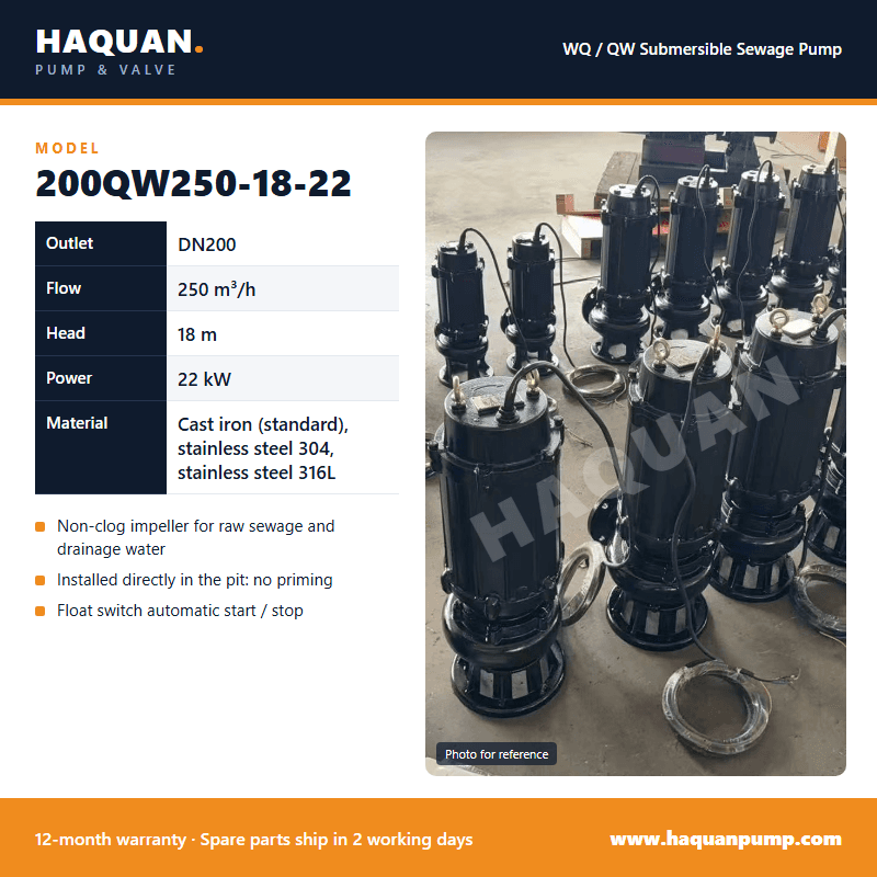 200QW250-18-22 Sewage Pump: Factory Test Results — Submersible Sewage Pumps by Haquan