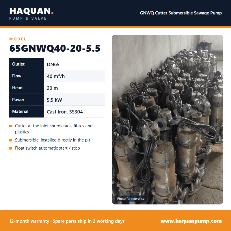 65GNWQ40-20-5.5 Cutter Sewage Pump – 40 m³/h at 20 m High Head — GNWQ Cutter Submersible Sewage Pump