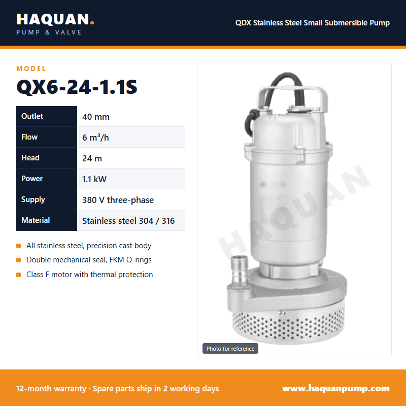 QX6-24-1.1S Edelstahl-Tauchpumpe für warmes Wasser — QDX kleine Tauchpumpen by Haquan